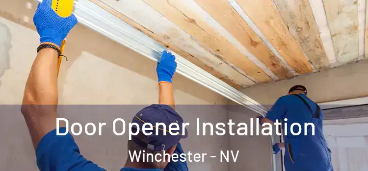 Door Opener Installation Winchester - NV