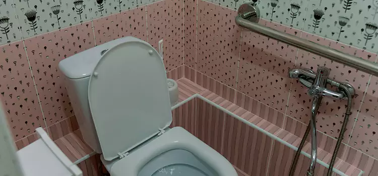 Meeting Diverse Needs With Accessible Restroom Solutions in Winchester, NV