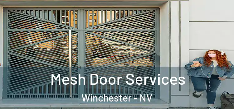Mesh Door Services Winchester - NV